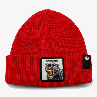 Goorin Bros Sapka THE STRENGTH BEANIE 