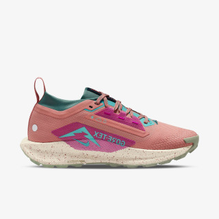 Nike Sneaker Pegasus Trail 5 Gtx 