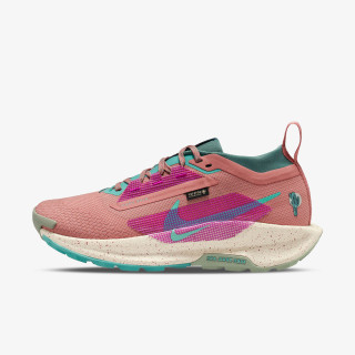 Nike Sneaker Pegasus Trail 5 Gtx 