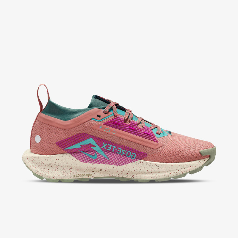 Nike Sneaker Pegasus Trail 5 Gtx 