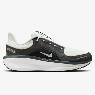 Nike Sneaker AIR WINFLO 11 GTX 