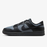 Nike Sneaker NIKE DUNK LOW RETRO SE WNTR 