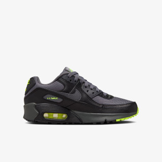 Nike Sneaker Air Max 90 Next Nature 