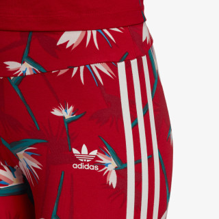Adidas Leggings LEGGINGS 