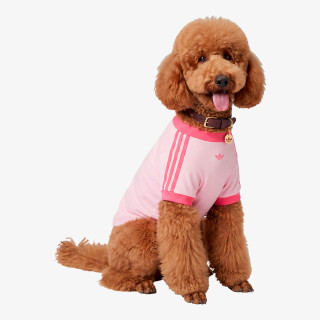Adidas PET nyaklánc PET COLLAR 